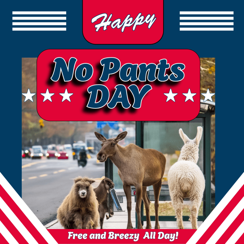 Happy No Pants&nbsp;Day!